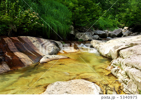 秋田　北秋田市　中ノ又渓谷 5340975