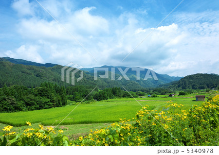 秋田　八峰町　八森 5340978