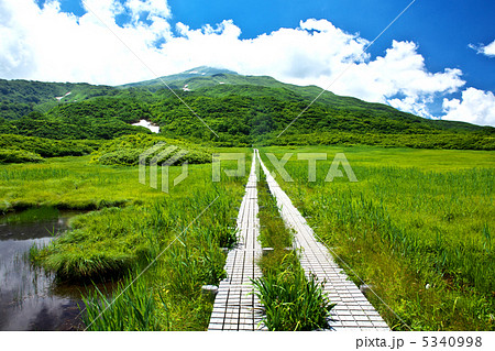 秋田　由利本荘市　竜ヶ原湿原 5340998