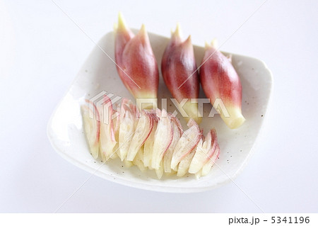 茗荷の千切り 5341196