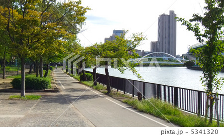 川辺の散歩道 5341320