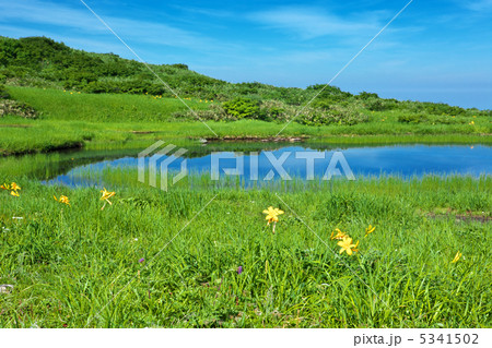 山形　庄内町　月山　弥陀ヶ原 5341502