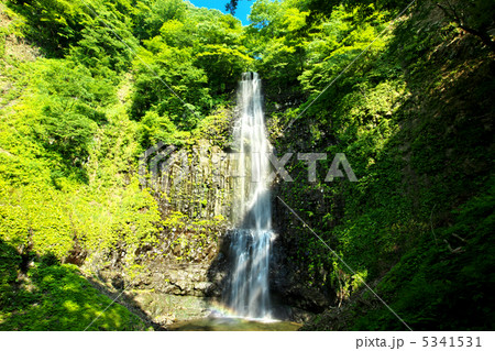 山形　酒田市　玉簾の滝 5341531