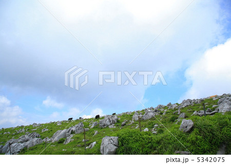 天狗高原 天狗高原 5342075