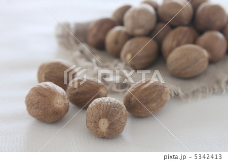 ナツメグ ナツメグ 5342413