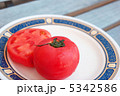 美味しそうな赤いトマト 5342586