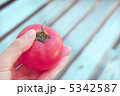 美味しそうな赤いトマト 5342587