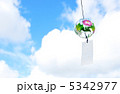 5342977