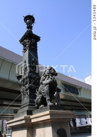 日本橋の獅子像 5343489