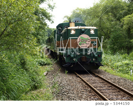 夏の釧路湿原ノロッコ号 5344150