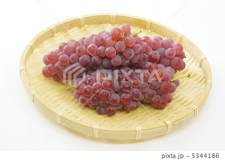 ブドウ 5344186