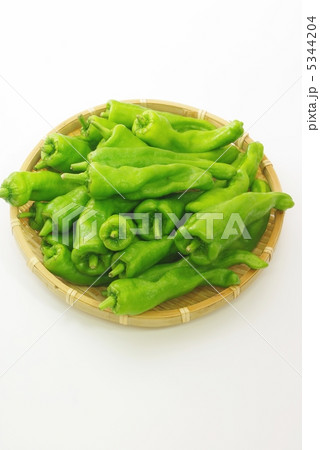 万願寺とうがらし 5344204