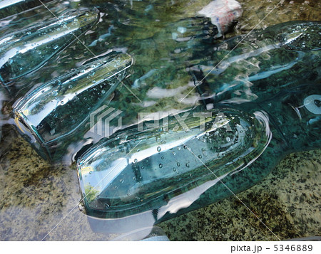 ラムネ ラムネ 5346889