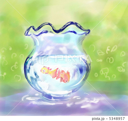 きんぎょ 5348957