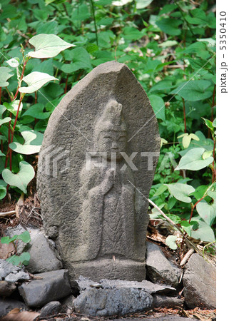 旧甲州街道の馬頭観音像 旧甲州街道の馬頭観音像 5350410