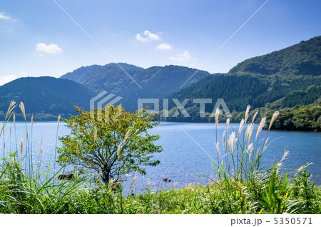 秋の芦ノ湖湖畔 秋の芦ノ湖湖畔 5350571