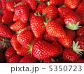 イチゴ 5350723