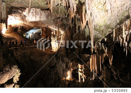 ポストイナ鍾乳洞 5350895