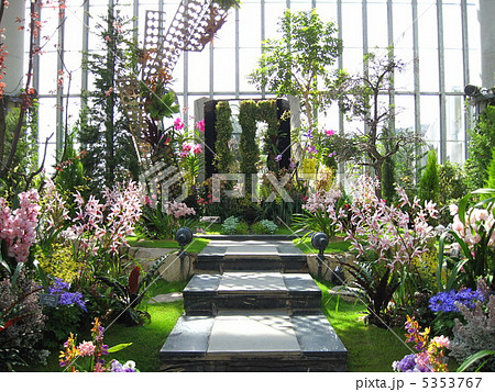 温室の花々 5353767