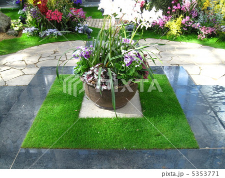 温室の花々 温室の花々 5353771