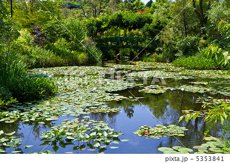 睡蓮の庭 5353841
