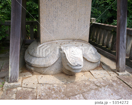幸田町・本光寺の願掛け亀 5354272