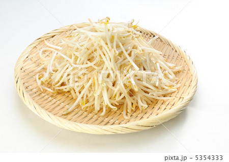 もやし 5354333