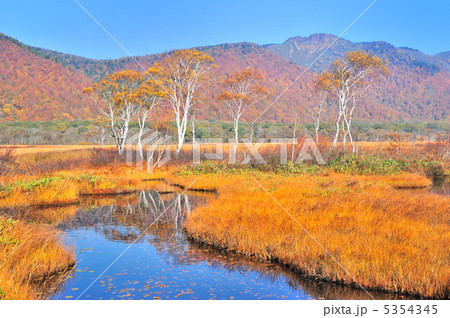 尾瀬の紅葉 5354345