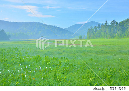 早朝の尾瀬ヶ原 早朝の尾瀬ヶ原 5354346