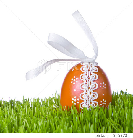 easter egg in grass 5355789