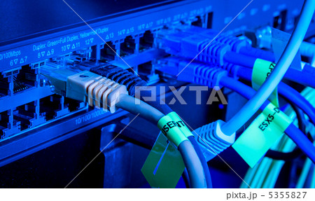 network cables 5355827