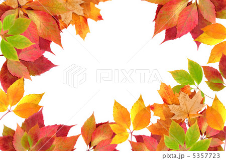 autumn leaves 5357723