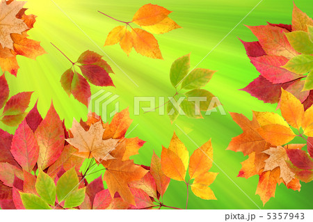 autumn leaves 5357943