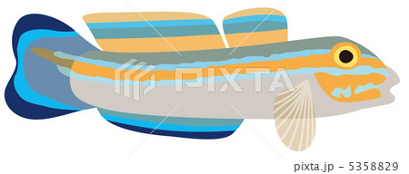 ニシキハゼ 5358829