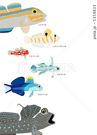 ハゼいろいろイラスト 5358833