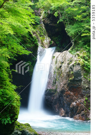 緑と滝 5359185