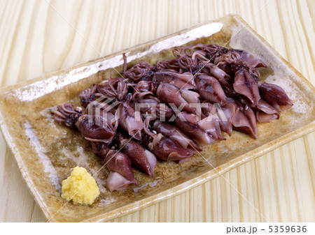 ホタルイカ ホタルイカ 5359636