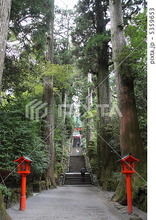 箱根神社 5359653