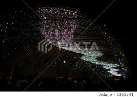 京の七夕　光の天の川 5361541