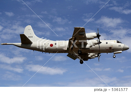 飛行機 5361577