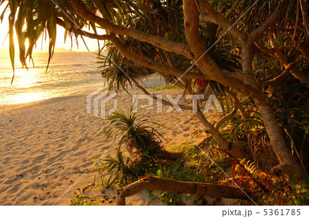 渡嘉敷島の夕暮れ時 5361785