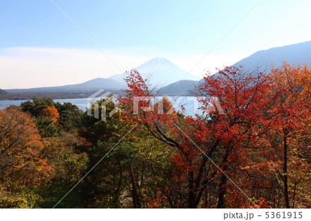 秋の本栖湖と富士山 5361915
