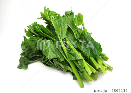 つるむらさき 5362155