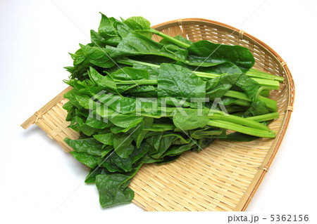 つるむらさき 5362156