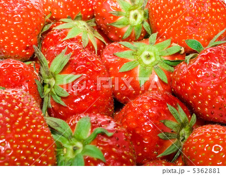 Strawberry Strawberry 5362881