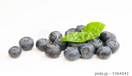 Blueberry Blueberry 5364842