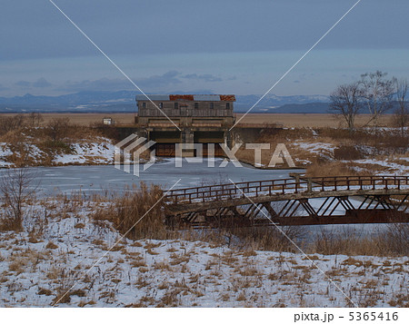 凍結した岩保木水門 5365416