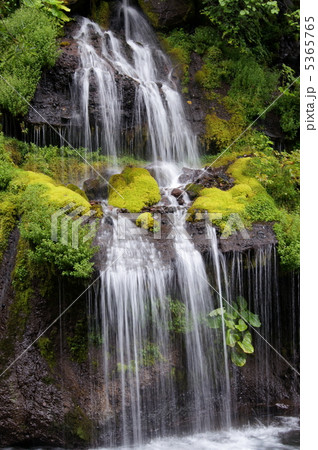 吐竜の滝 夏4 吐竜の滝 夏4 5365765