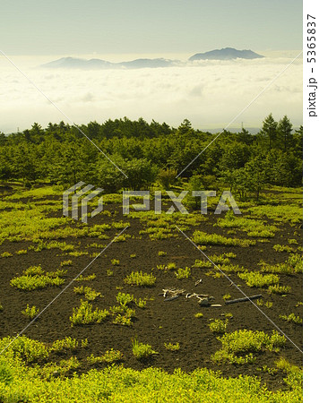 富士山より望む、雲海に浮かぶ箱根山 5365837