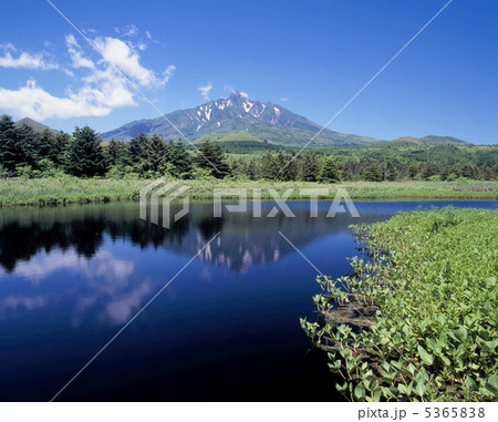 南浜湿原より望む利尻山 南浜湿原より望む利尻山 5365838